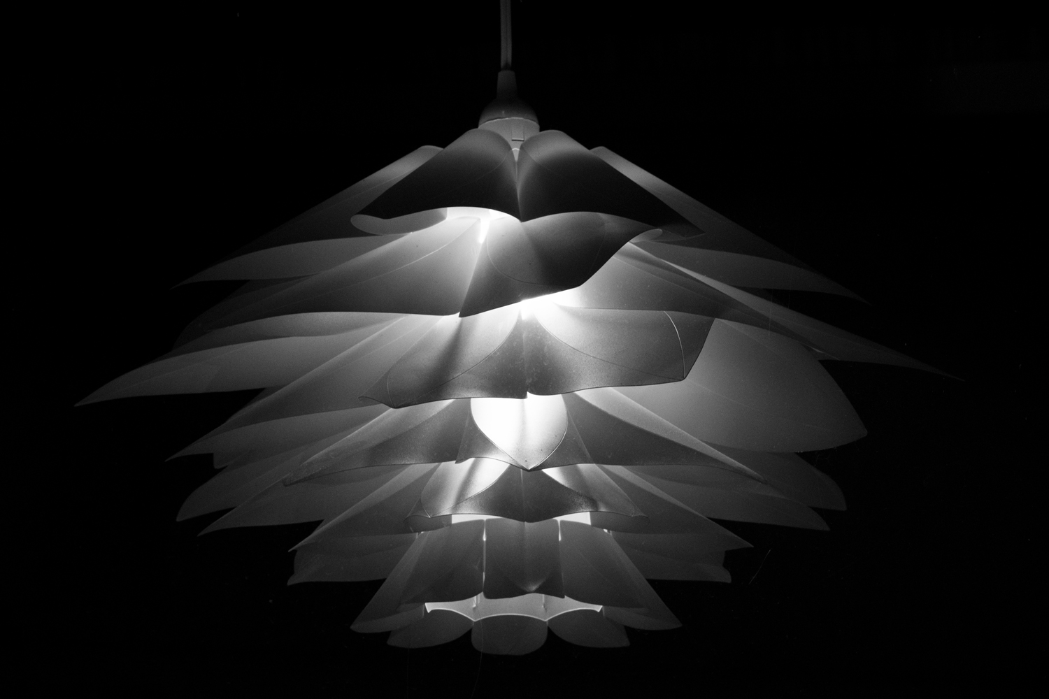 a lamp that looks like a flower, illuminated in the darkness