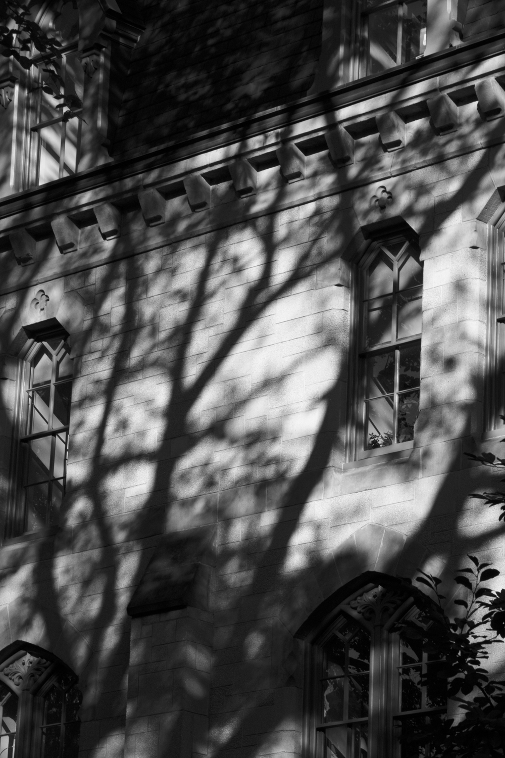 a shadow on the side of a college campus building