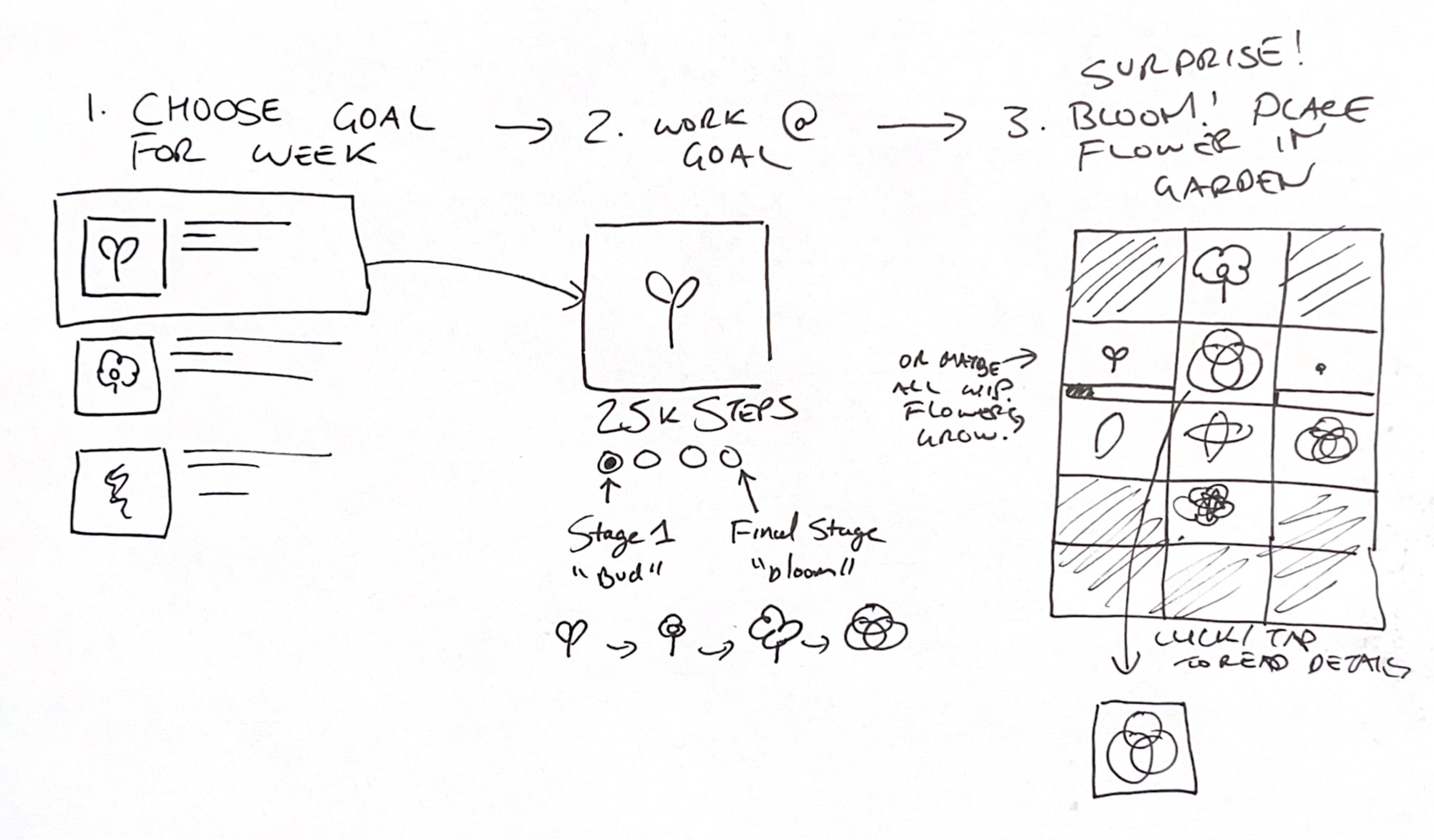 original sketch of the flower-based reward system, users would choose a flower to grow based on health goals, and the flower would bloom differently based on how they achieved said goal